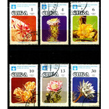 10 Selos De Flora Flores De Cactos Frete Light L 3816a