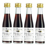 10 Uni Licor De Cassis De Dijon Garrafa Vidro 50ml