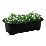 10 Vasos Jardineira Floreira Vasos Floreira De Plástico Cor Preto Liso