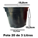 10 Vasos Pote 20 3 Litros Mudas Plantas E Rosa Do Deserto