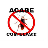Paulistinha