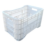 10 X Caixa Agricola Hortifruti Câmara Fria Congelados 49l