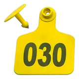 Suíno