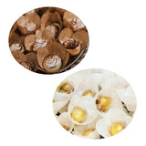 100 Forminhas Doces Finos Tela Escócia Cestinha 