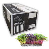 microgreens