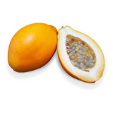 100 Sementes De Maracuja Doce
