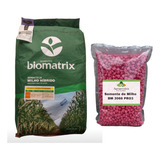 100 Sementes De Milho Verde Híbrido Biomatrix 3066 Vt Pro2