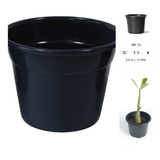 100 Vasos 800 Ml Pote 13 Plástico Preto P/ Rosa Do Deserto