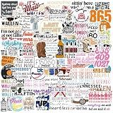 100 Adesivos De Cantores De Música Country  Adesivos De Letras De Músicas  Adesivos De álbum De Música Para Fãs De Shows  Pacote De Adesivos Pop Country Para Laptop  Garrafa De água  Presentes Para