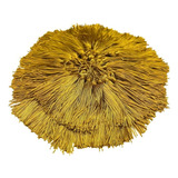Dourado