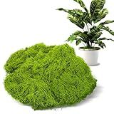100 Gramas De Musgo Artificial Para Artesanato- Musgo Verde Falso Para Projetos De Bricolage- Jardins De Fadas- Centros De Mesa De Casamento- Decoração De Casa- Arranjos De Festa