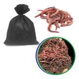 Compostagem
