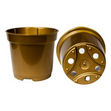 Dourado