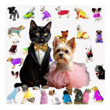 100 Moldes Pet Em Pdf Roupas De Cachorros E Gatos Fáceis