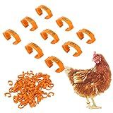 100 Peças De Anéis De Perna De Frango 5 Cores Legíveis Numeradas Identificadoras De Frango Faixas De Perna Design Slots De Cartão Etiquetas De Perna De Aves Para Pintinhos E Patos Laranja 100 Peças