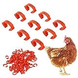 100 Peças De Anéis De Perna De Frango 5 Cores Legíveis Numeradas Identificadoras De Frango Faixas De Perna Design Slots De Cartão Etiquetas De Perna De Aves Para Pintinhos E Patos Vermelho 100
