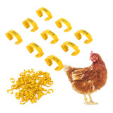 Frango
