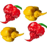 Amarela