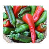 Aromatica
