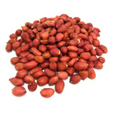 100 Sementes De Amendoim Vermelho