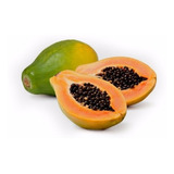 100 Sementes De Mamao Papaia Papaya