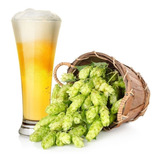 100 Sementes Lupulo Trepadeira Cerveja Humulus Lupulus Mudas