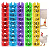 100 Un Anilhas Numeradas P Aves Pombos Codornas Pintos