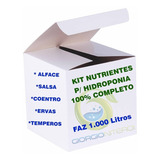 Planta