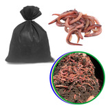 Compostagem