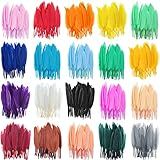 1000 Peças De Penas Naturais De Ganso Colorido Arco íris 10 A 15 Cm Penas Coloridas Para Artesanato Artesanato Artesanato Joias Decoração Suprimento 20 Cores