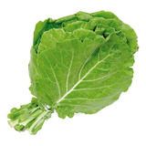 Grátis
