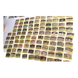 104 Figurinhas Cards Ping Pong Grandes