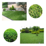 Jardim