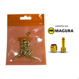 Magura