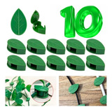 Plantas
