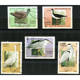 11 Selos Romênia Caribe Fauna Selvagem Aves Pássaros L.3371