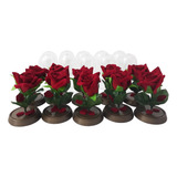 115 Mini Cúpulas - Bela E A Fera - 11 Cm Rosa Encantada