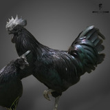 12 Ovos Galados De Ayam Cemani