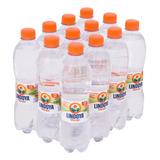 12 Agua Mineral Com Gas Legítima Lindoya Verão Garrafa 500ml