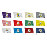 12 Bandeira Tribo De Israel 1x1 45m
