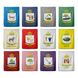 12 Bandeira Tribo De Israel Vertical 1x1 45m
