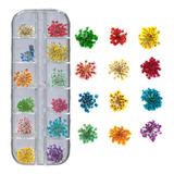 12 Flores Secas Encapsulamento Decoração Unhas De Gel