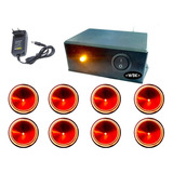 12 Kits Repelente Eletrônico Cachorros Gatos E Aves