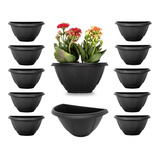 Horta
