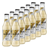 12 X Água Tônica Orgânica Ginger Gengibre Premium 255ml Wewi