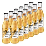 12 X Água Tônica Tangerina Orgânica Premium 255ml Wewi