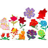 Flores