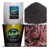 1200 Minhocas Californianas Vermelhas + 10 Kg De Húmus Puro