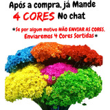 1200 Florzinhas Sempre Viva Flor Para Decoração Desidratada