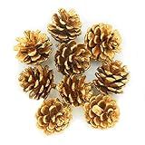 12PCS Pinhas De Natal Douradas 1 7 Pinhas Naturais Douradas Para Artesanato De Natal DIY Guirlandas Guirlandas Enfeites De Árvore De Natal Enchimento De Vaso NO 257 